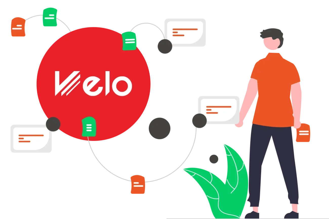 Velo IDS - the project's goal